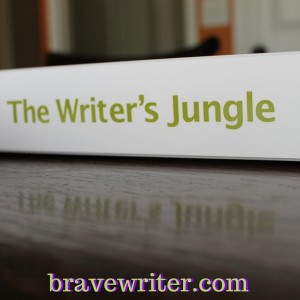 partnership jungle brave writer