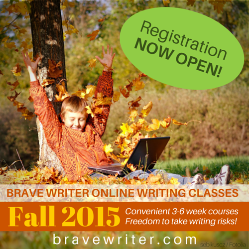 2015 fall online class registration is open!