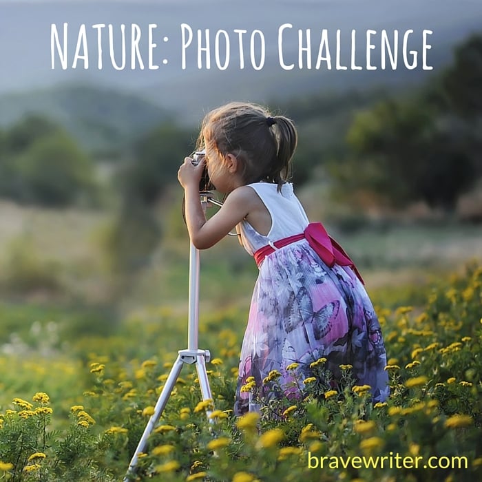 Nature: Photo Challenge