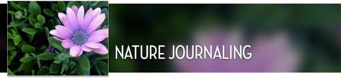 Brave Writer Online Writing Class Nature Journaling
