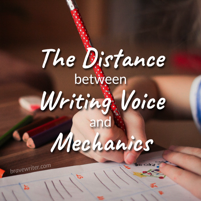 The distance between voice and mechanics