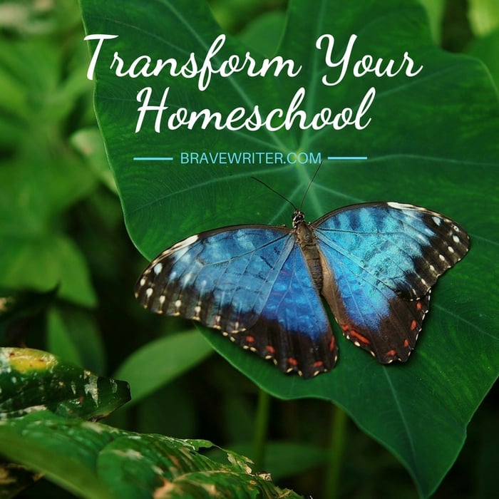 3 Tips to Transform Your Homeschool