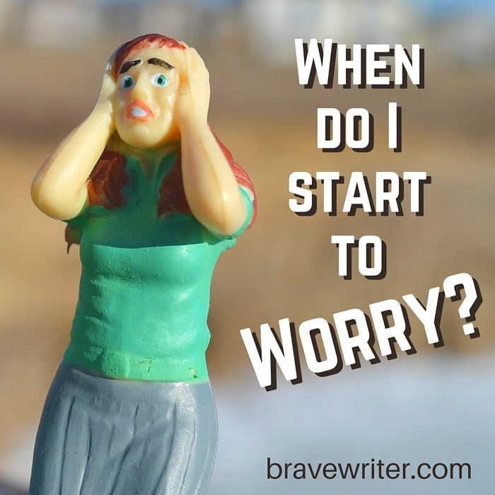 When do I start to worry in my homeschool?