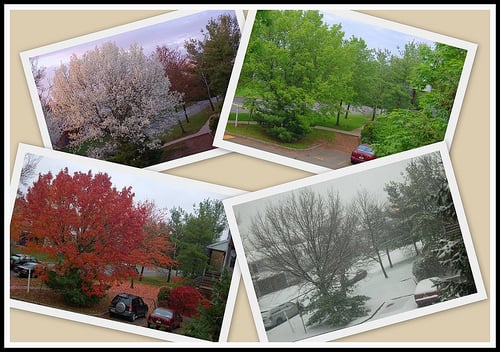 All four seasons - Outside my window