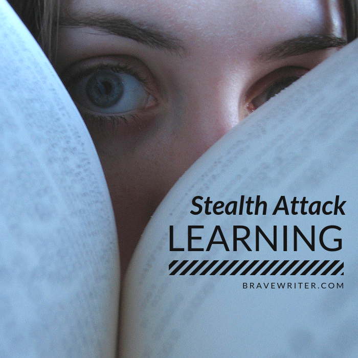 Stealth Attack Learning