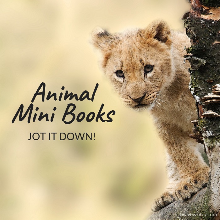 Jot It Down: Animal Mini Books