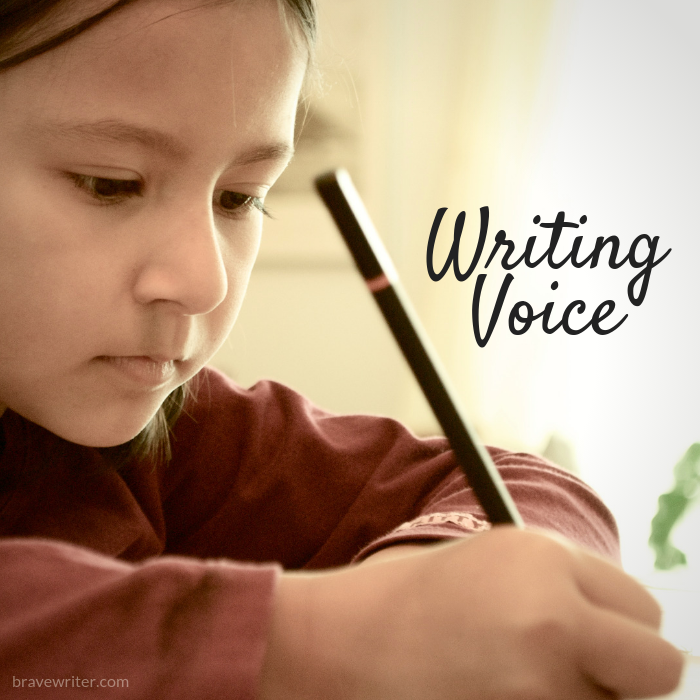 Find the Writing Voice Within