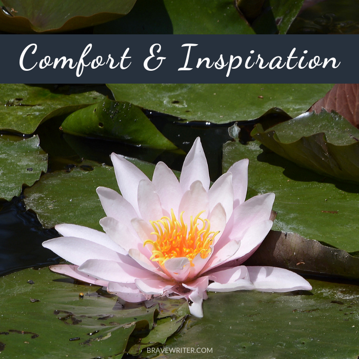 Comfort and Inspiration