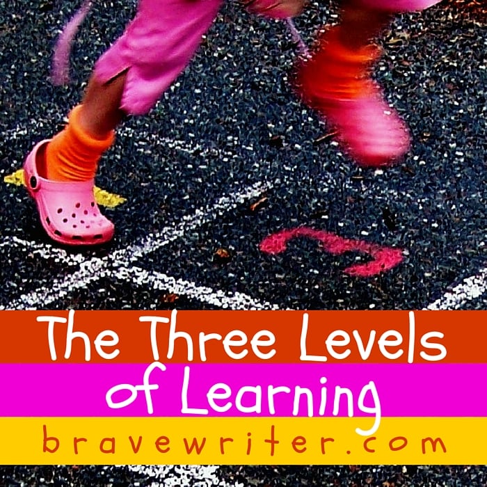 The Three Levels of Learning
