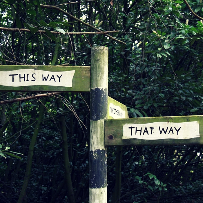 Friday Freewrite: This way and that