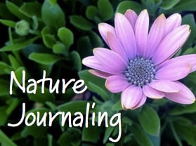 Brave Writer Online Writing Class Nature Journaling