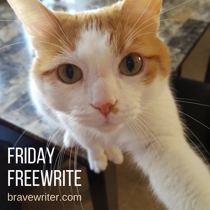 Friday Freewrite: The Selfie