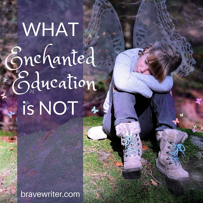 What Enchanted Education is NOT