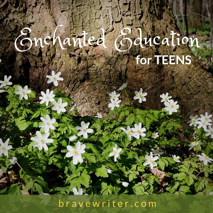 Enchanted Education for Teens