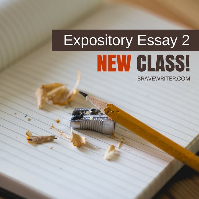 New Online Class: Expository Essay 2