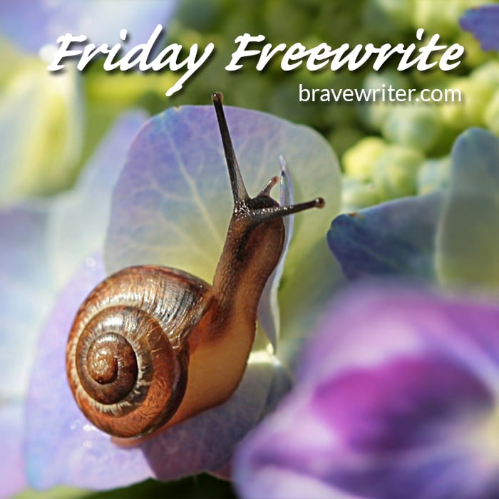Friday Freewrite: At a Snail's Pace