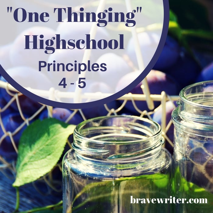 One Thinging Highschool Principles 4-5