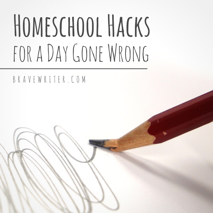 Homeschool Hacks for a Day Gone Wrong