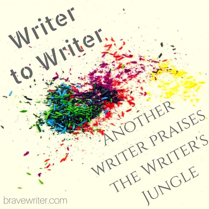 Another writer praises the Writer's Jungle