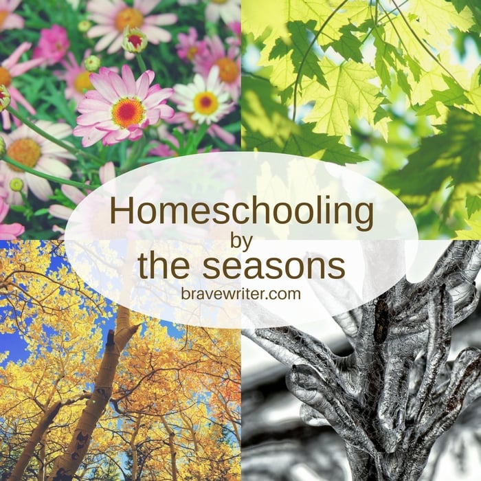 By spring unschooling