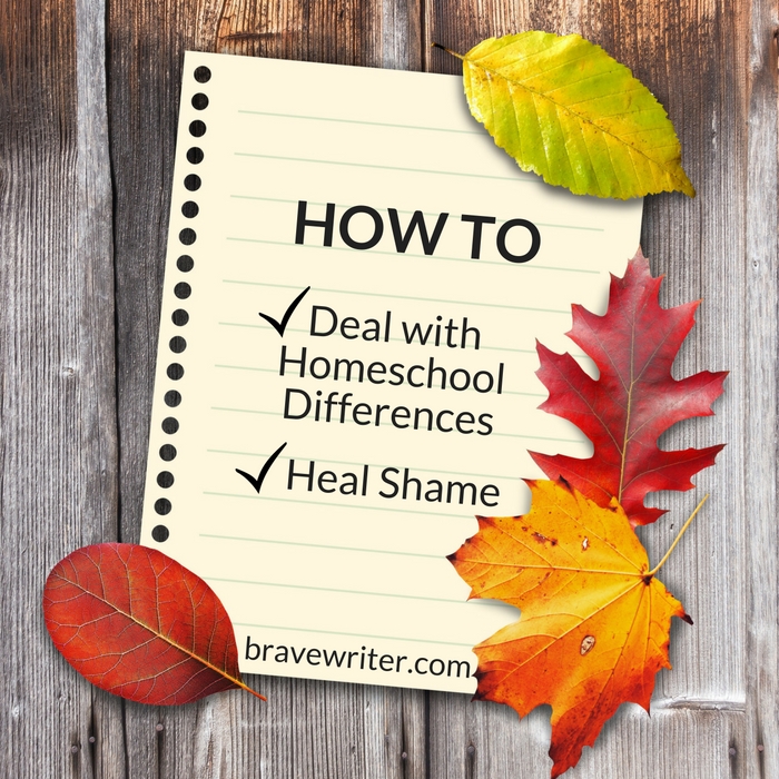 How to deal with homeschool differences and how to heal shame