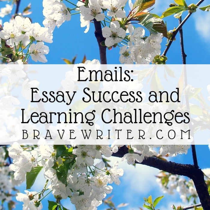 Blog Email Essay Success Learning Challenges