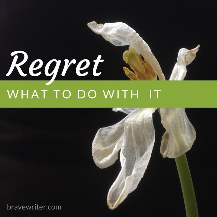Regret: What to do with it
