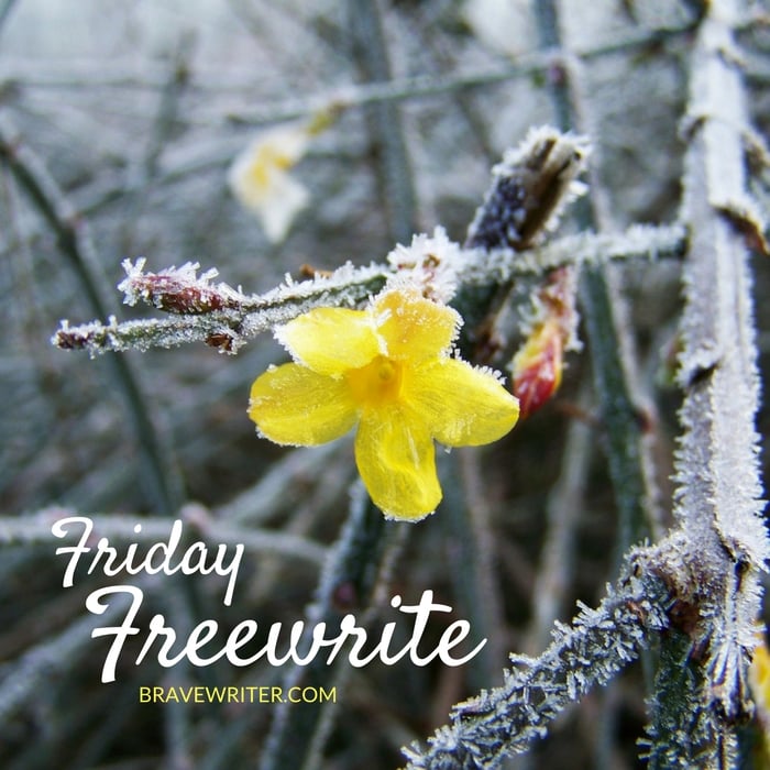 Friday Freewrite: Spring Freeze