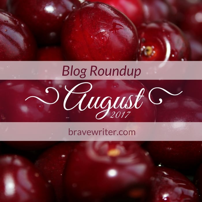 August 2017 Blog Roundup