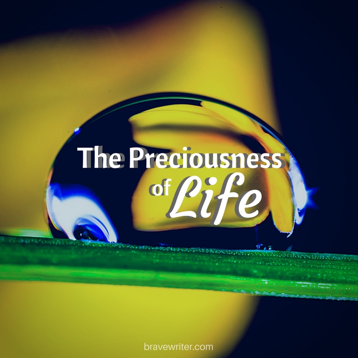 The Preciousness of Life