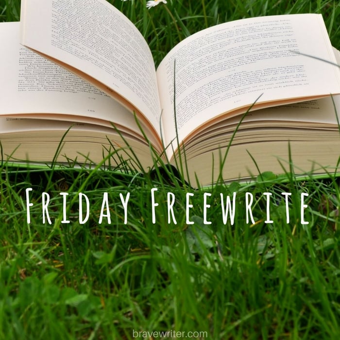 Friday Freewrite Into the Book