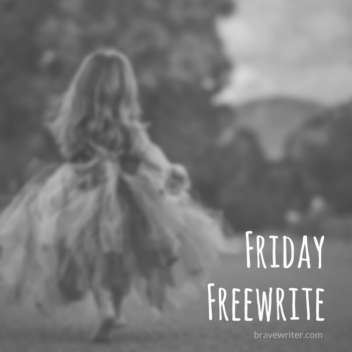 Friday Freewrite Invisible for the Day