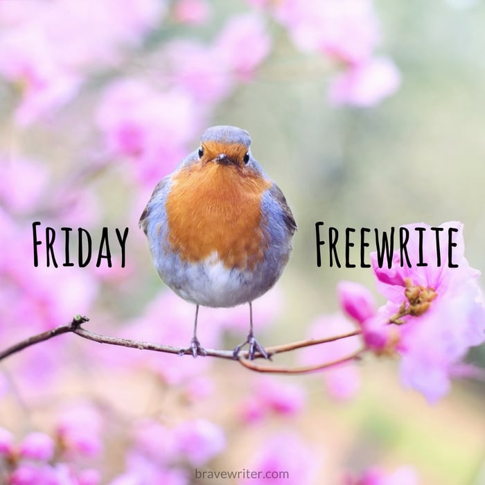 Friday Freewrite Bird