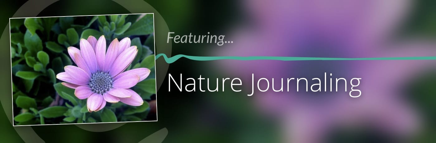 Nature Journaling