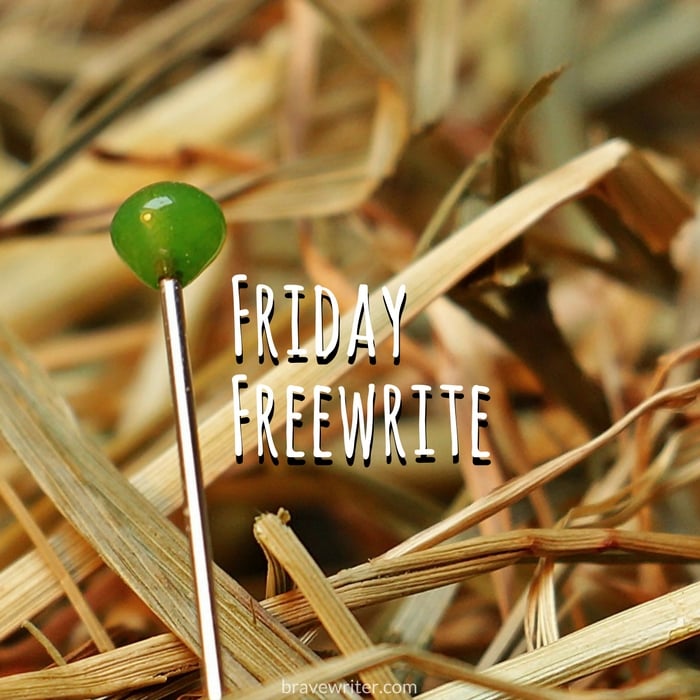 Friday Freewrite Needle in a Haystack