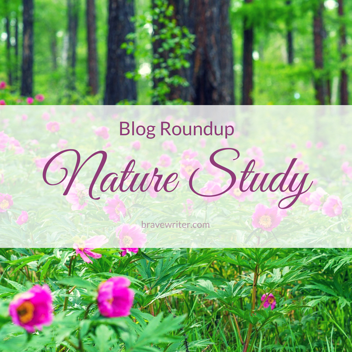 Nature Study Roundup