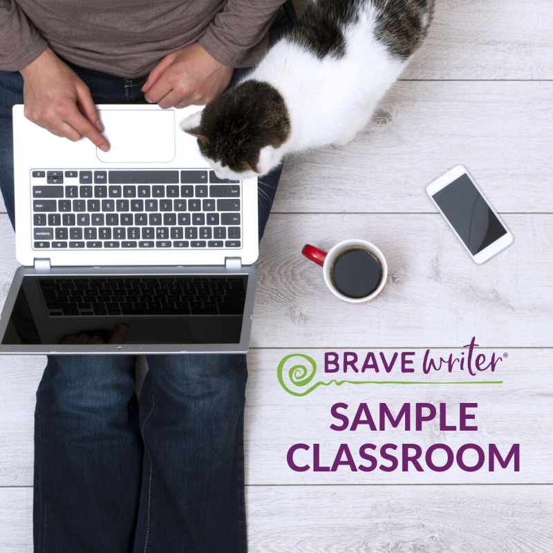 Brave Writer Sample Classroom