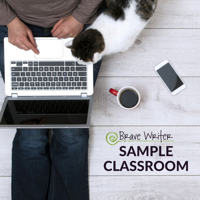 Brave Writer Sample Classroom