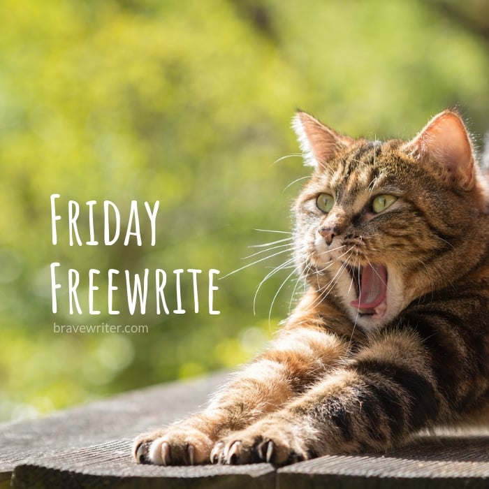 Brave Writer Friday Freewrite Early Riser