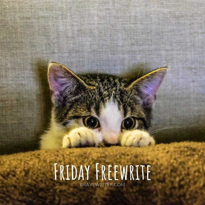 Friday Freewrite New Home