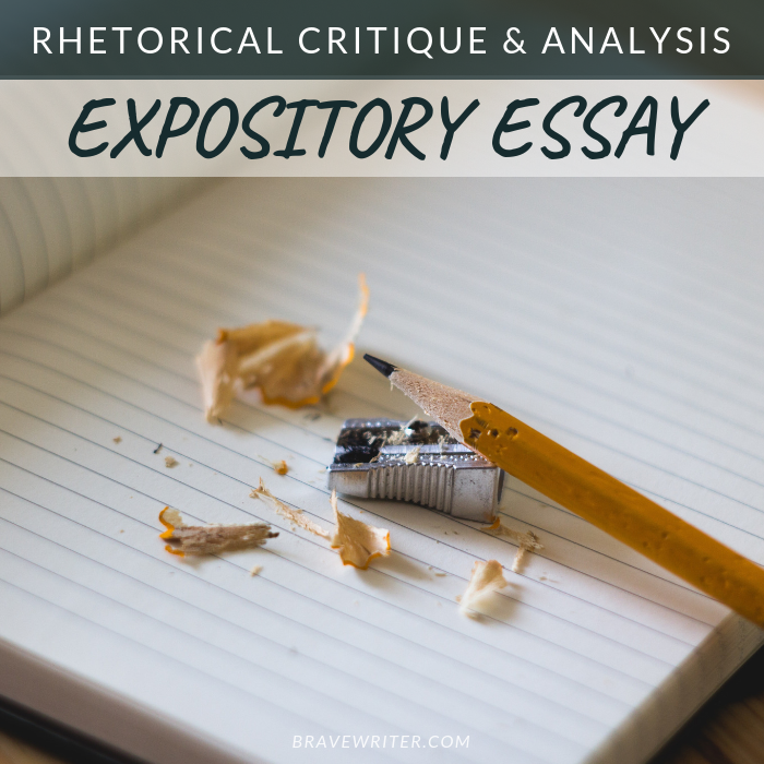 Expository Essay: Rhetorical Critique and Analysis