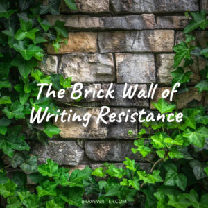 Run Into a Brick Wall with Writing? - A Brave Writer's Life in Brief A ...