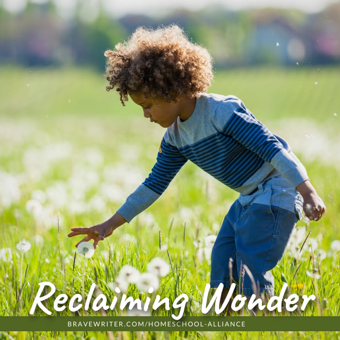 Reclaiming Wonder in Your Child's Education