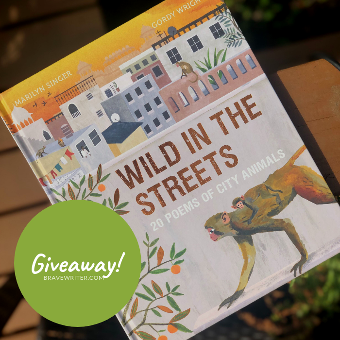 Wild in the Streets: 20 Poems of City Animals: Singer, Marilyn