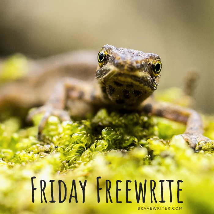 Friday Freewrite: New