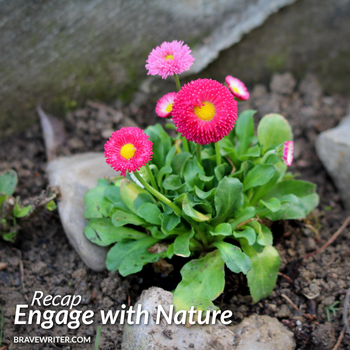 Engage with Nature Recap