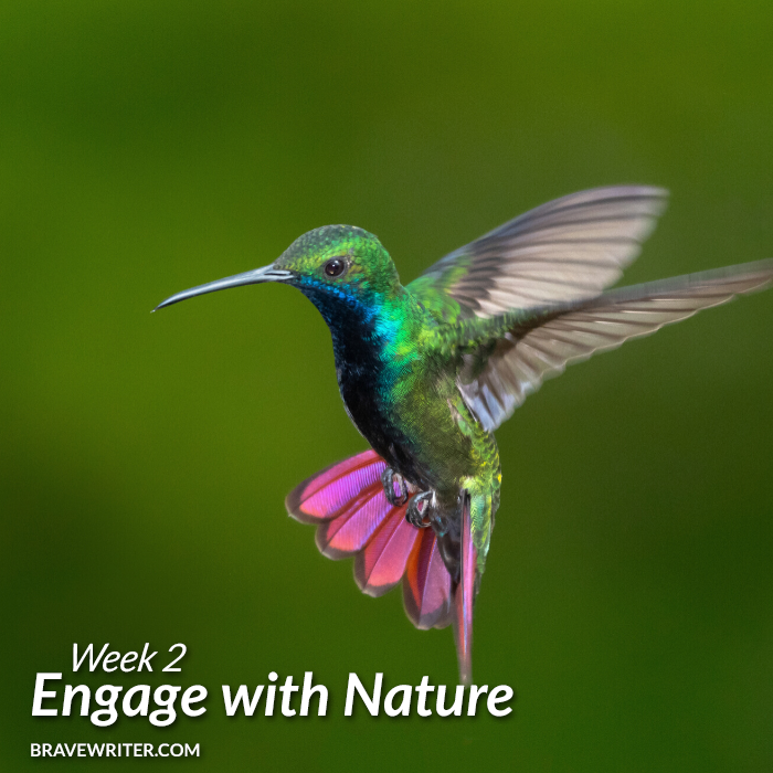 Engage with Nature Week 2