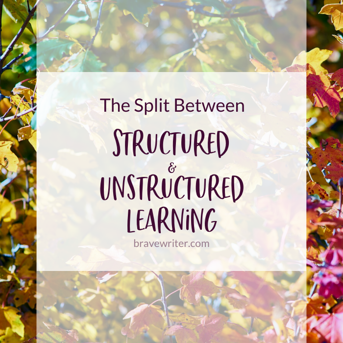 Split Between Structured and Unstructured Learning