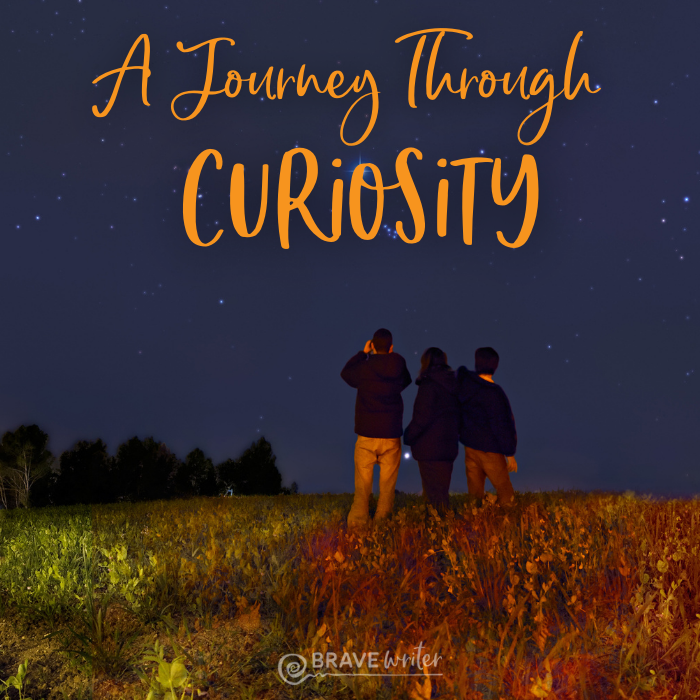 A Journey Through Curiosity