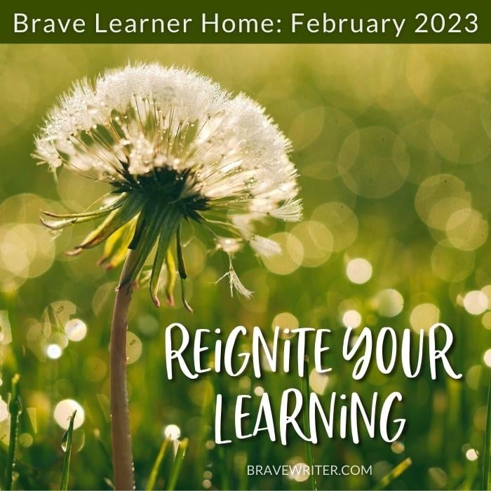 Brave Learner Home